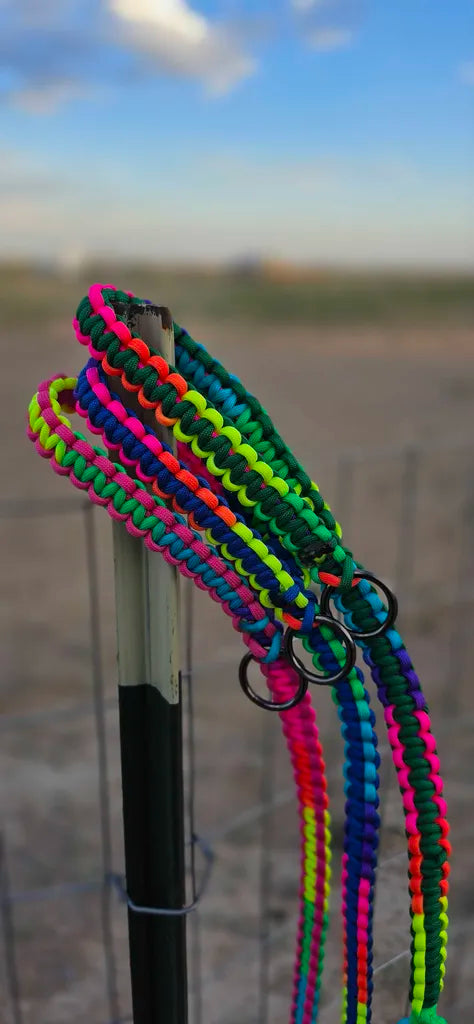 Paracord Leash