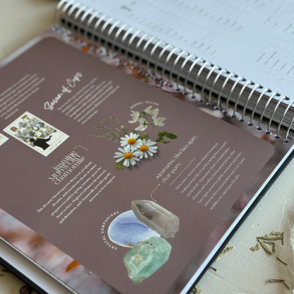 2026 Writual Tarot Planner